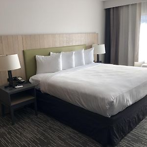 King Room Disability Access